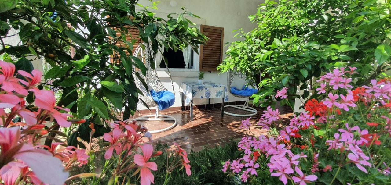 New!!! New Riva Luxury One - With Sunny Terrace & Big Garden Apartment Poreč Exterior foto