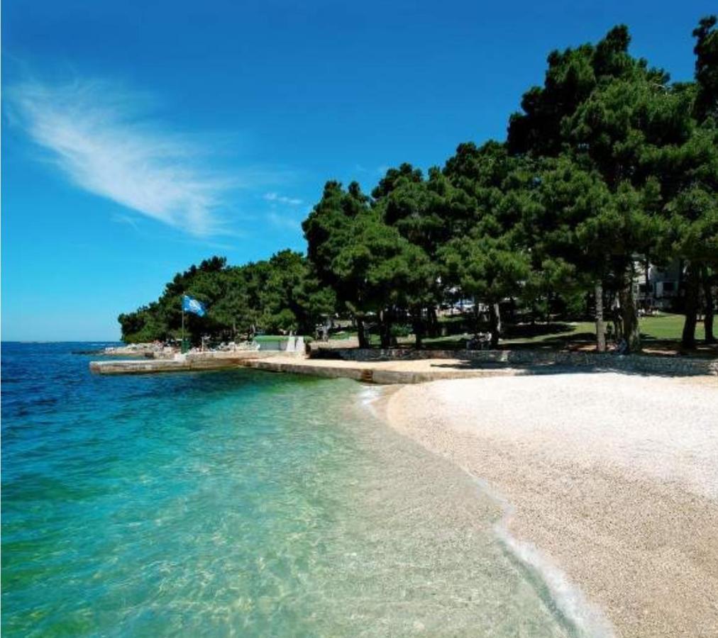 New!!! New Riva Luxury One - With Sunny Terrace & Big Garden Apartment Poreč Exterior foto